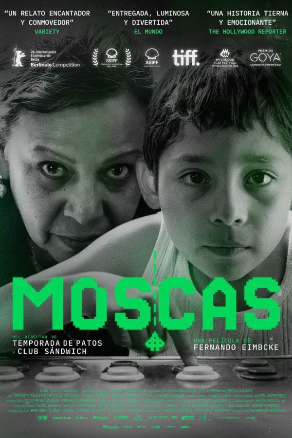 moscas--Afiches-web